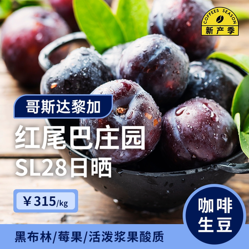 哥斯达黎加SL28日晒咖啡生豆