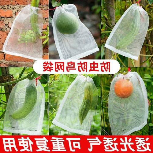 果蝇防瓜果葡萄浸种水果防鸟袋袋
