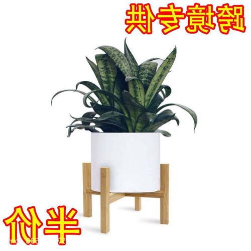 实木新中式阳台热销家用植物室内