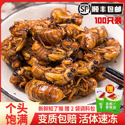 2026新鲜知了猴100只生鲜金蝉唐僧肉爬叉蝉蛹龟活体冷冻徐州特产 - 封面
