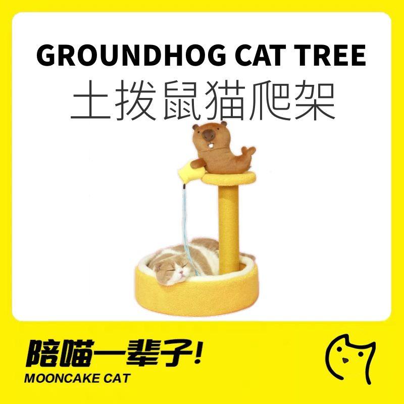 噗扑实验室许愿池土拨鼠猫爬架图片