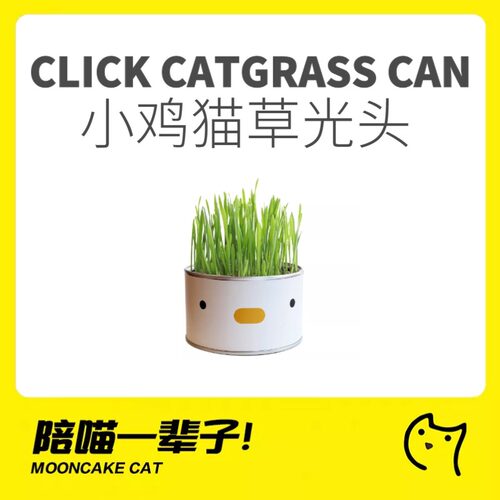 去毛球猫草PURROOM排毛