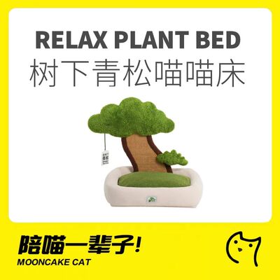 松树下猫咪窝ZEZE可爱蜜桃绒猫