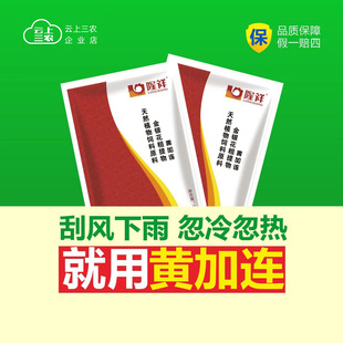 黄加连兽用饲料添加剂受凉闭眼缩头不精神流感用鸡药双黄连