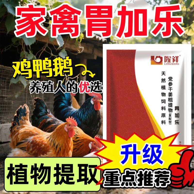 胃加乐鸡用腺肌胃炎鸡不消耗不长饲料添加剂