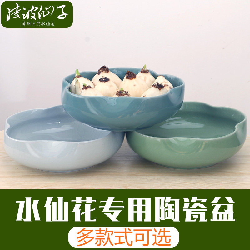 专用水仙花盆陶瓷盆无孔铜钱草碗莲睡莲水培花盆多肉花盆浅盆