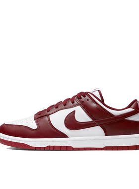 Nike Dunk Retro 