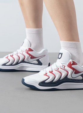 NIKE耐克男鞋 KD17 EP杜兰特17代缓震实战训练篮球鞋FJ9488-101