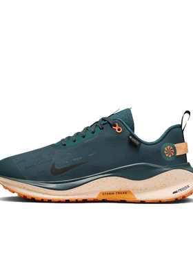 Nike InfinityRN 4 GTX 舒适百搭 低帮 休闲跑步鞋 FB2204-300