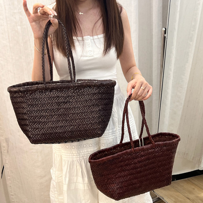 DragonDiffusion8811长柄