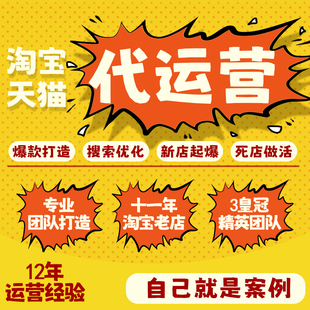 天猫淘宝店铺代运营网店整店托管拼多多电商开直通车纯提成个人做