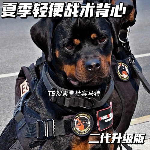 Дубин Маттро Вайнер тот же тактический жилет -жилет с большим собачьим жилетом