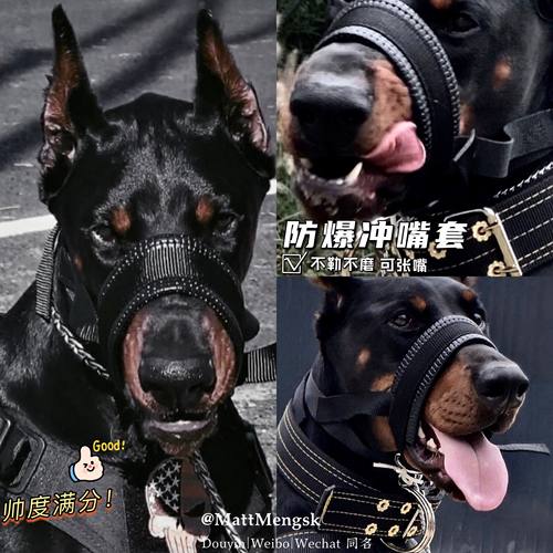 杜宾马特牵引嘴套大型犬防爆冲