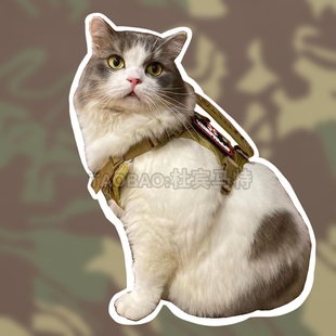 猫咪兔小型犬胸背马甲战术背心户外遛猫黑色泥色约克夏幼犬衣服