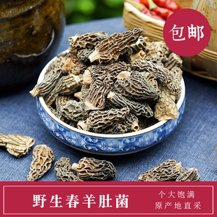 2代虫草 纳西田野 去脚 云南丽江特产 菌菇干货50克 春羊肚菌