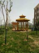 防腐木葡萄架碳化木方户外花架长廊庭院爬藤架阳台廊架室外凉亭