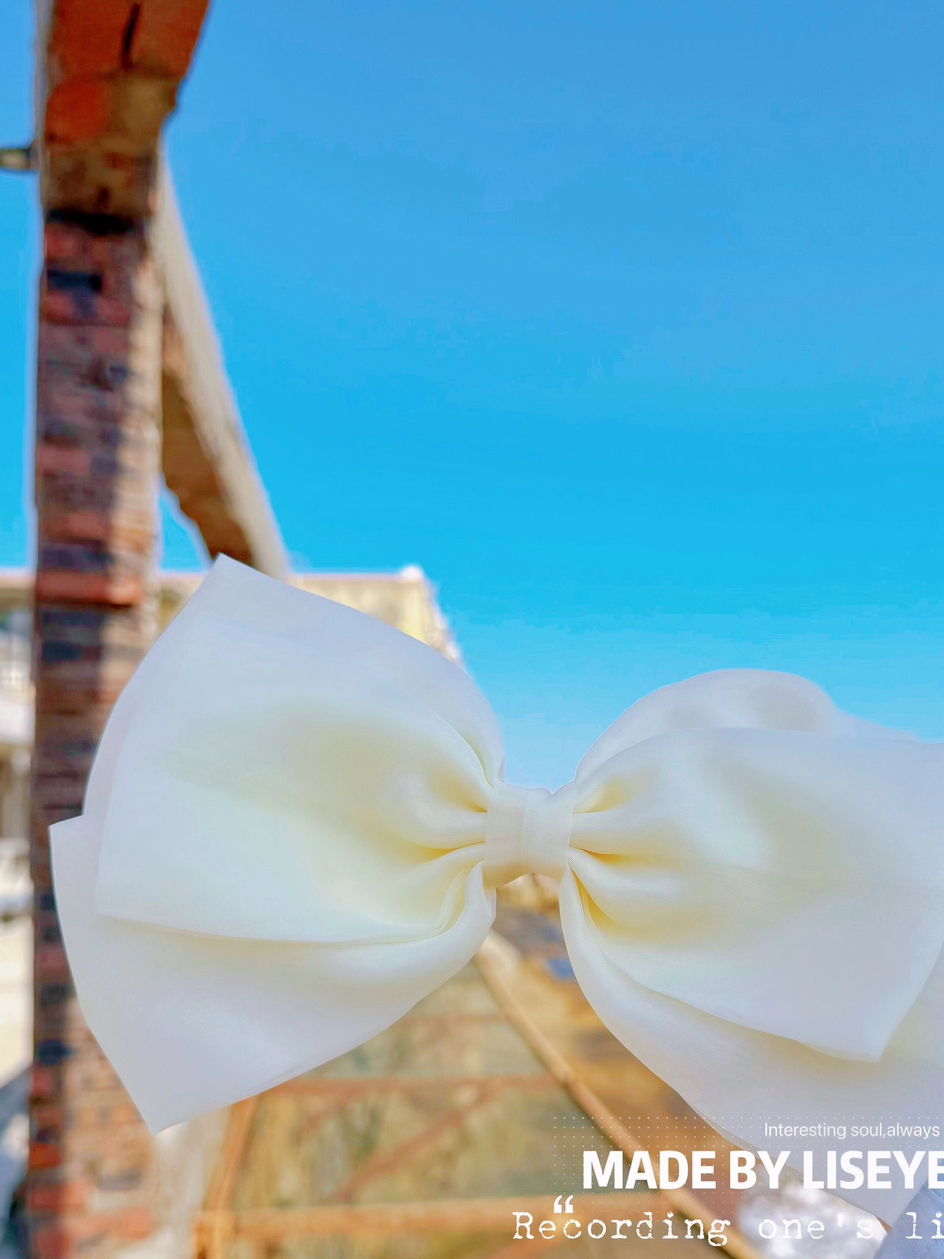 LISEYEN 老客福利款 蝴蝶结发夹 拍多件的话改釉费