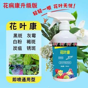 植物花叶康花卉通用型花叶康免稀释直喷家庭园艺