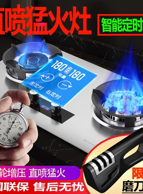 不锈钢大火力煤气灶家用定时九头双灶天然气液化气炉燃气嵌入台式