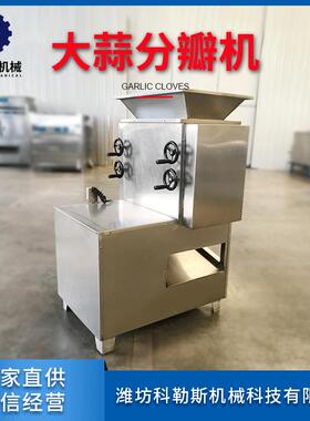 商用大蒜去皮机 大蒜剥皮机 家用大蒜分瓣机器 大蒜分瓣机