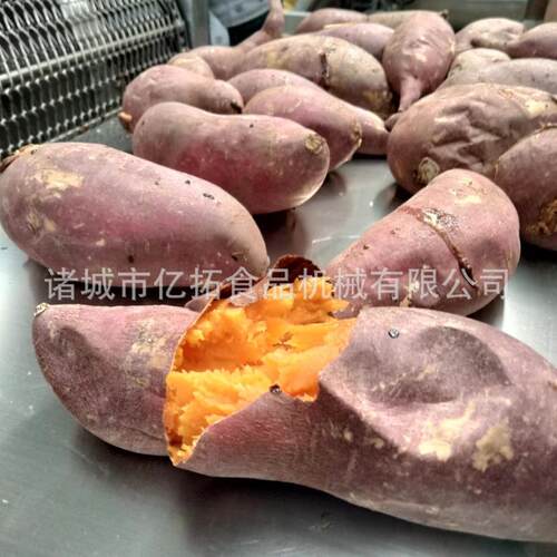 蜜薯加工生产线 隧道式烤红薯机 地瓜烘烤设备 电加热红薯烘烤线