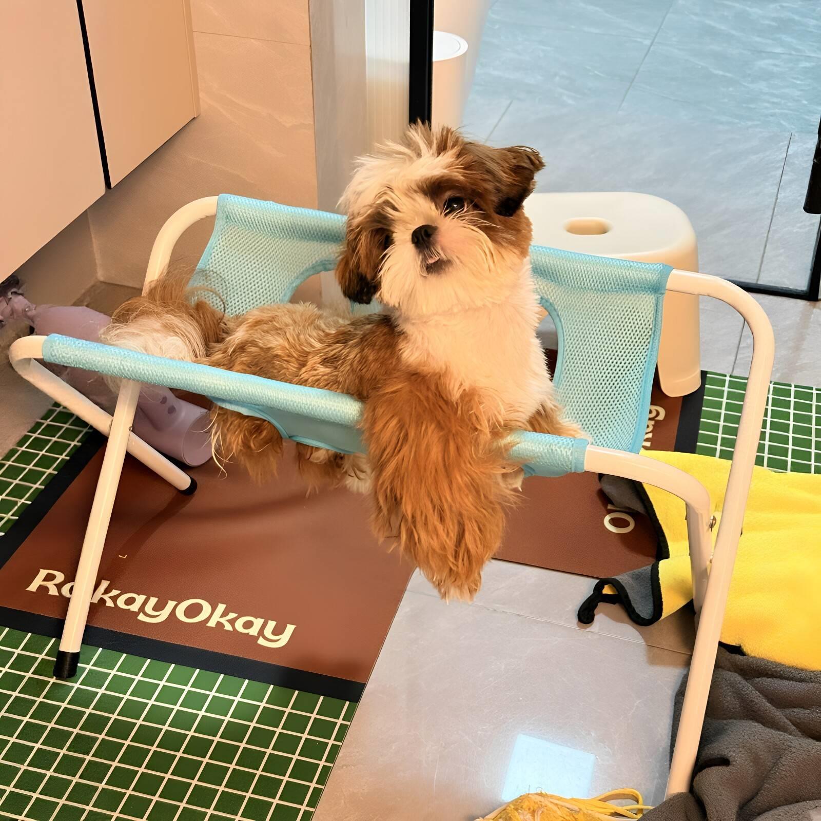 【解放双手】宠物洗澡支架狗狗洗澡大型犬小型犬猫猫洗澡固定支架