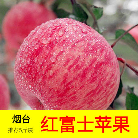 烟台新鲜冰糖心陕西红富士苹果