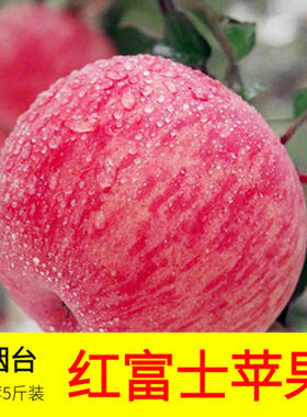 烟台新鲜冰糖心陕西红富士苹果