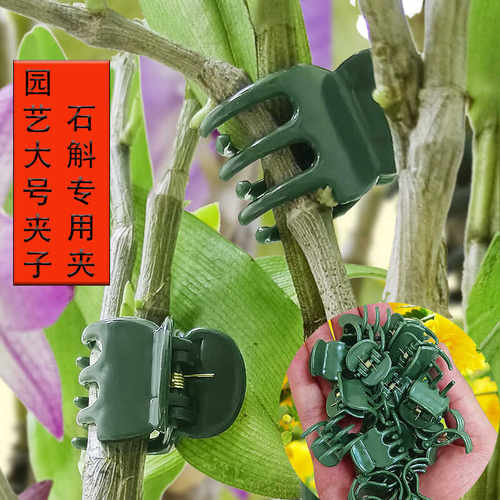 石斛专用装饰固定夹子金钱树花枝花卉夹植物兰花造型园艺藤蔓支撑