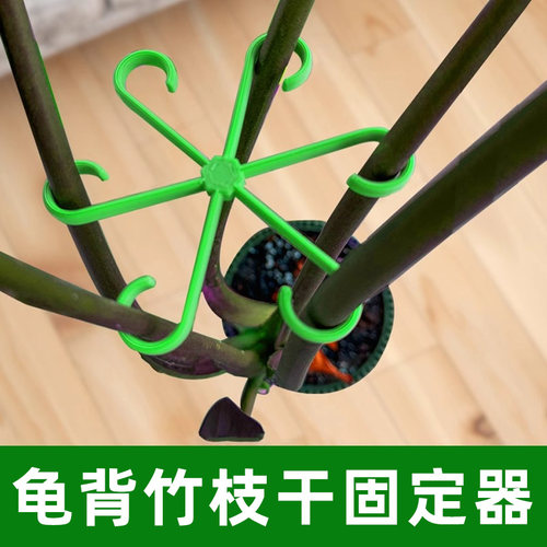 龟背竹支撑杆花支撑架枝干收拢架植物防倒伏支架绿植花架固定神器