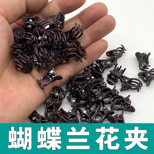 绿植植物蝴蝶兰花夹子专用爬藤花卉夹造型支架矫正夹藤蔓固定夹花