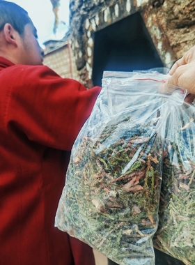 藏传传统煨桑烟供柏树枝藏香纯天然原材料拉萨直发5包起包邮