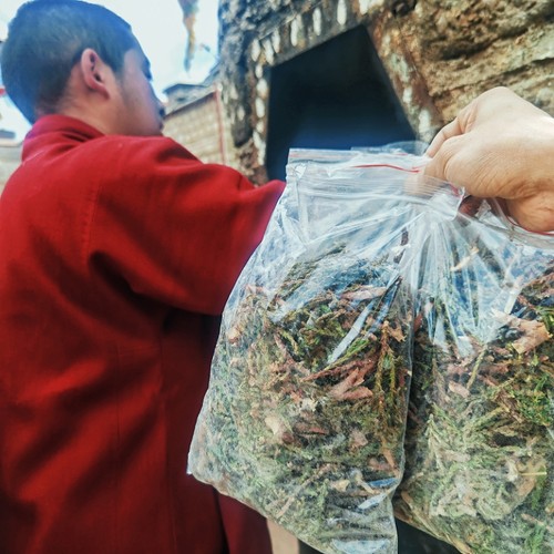 藏传传统煨桑烟供柏树枝藏香纯天然原材料拉萨直发5包起包邮