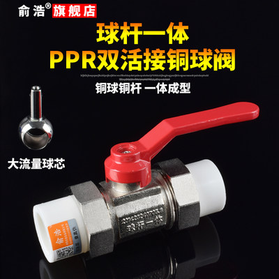 ppr206水管全铜球杆一体球阀分分25双活接阀门开关热熔接头水阀4