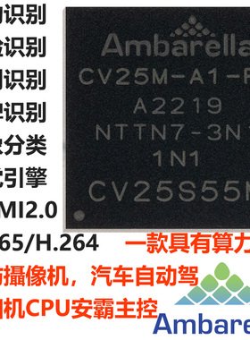 CV25S55MCV25M-A1-RH安霸Ambarella视觉引擎车辆识别自动驾驶SoC