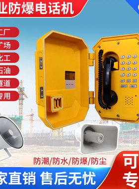 矿用工业防爆电话机矿区隧道管廊石油化工厂车间防水防潮防爆防尘壁挂式IP网络应急语音广播对讲紧急报警系统