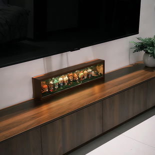 适用于手办盲盒收纳盒展示盒电视柜台面装饰摆件收纳置物架