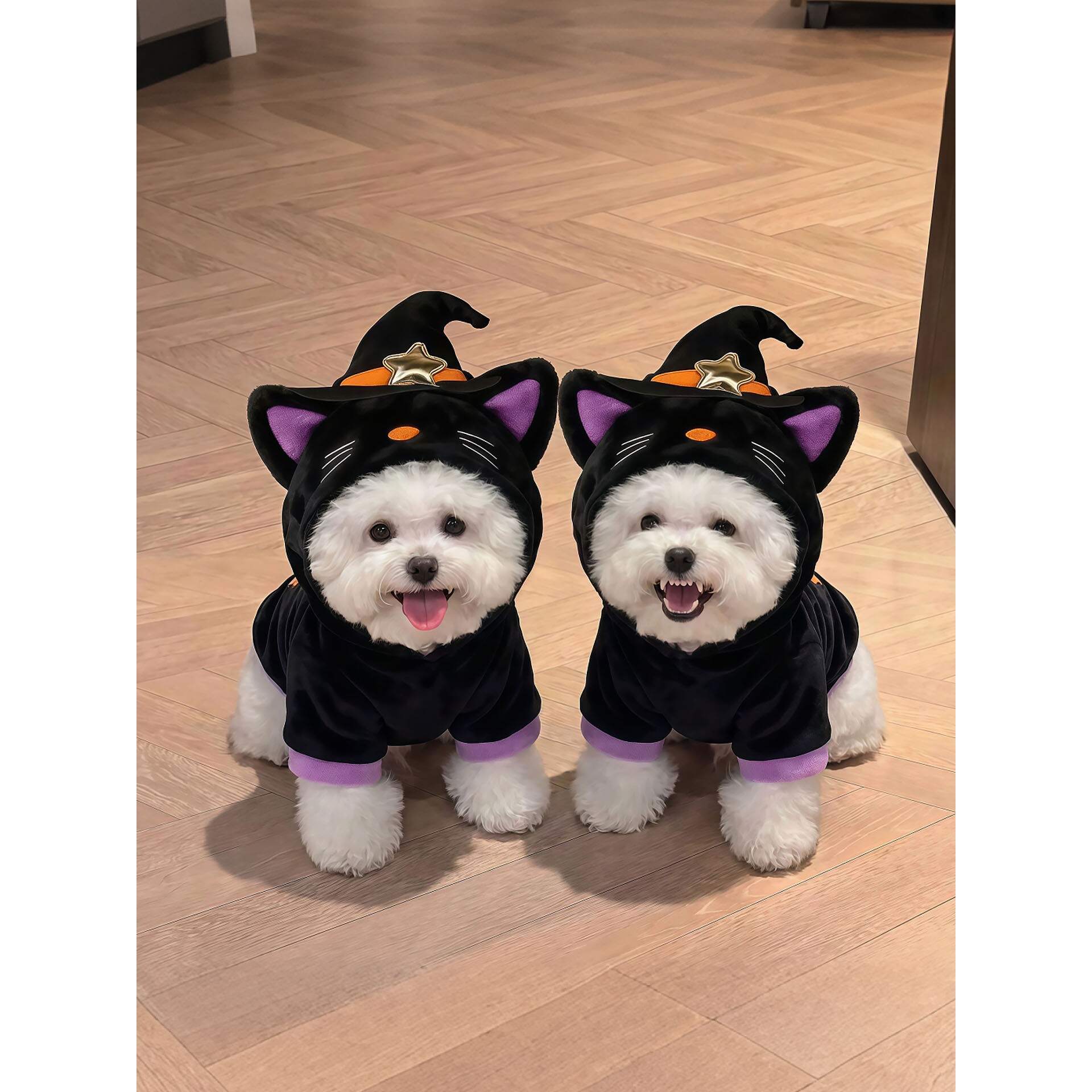万圣节比熊衣服小型犬狗狗冬季保暖搞怪变身装猫咪派对氛围感服饰