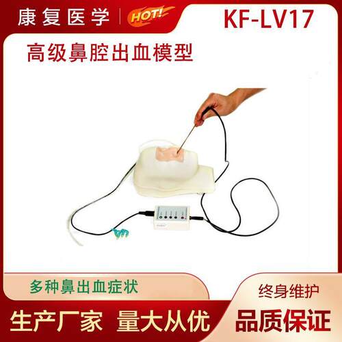 鼻腔出血止血护理模型高级鼻腔出血模型 多种鼻出血症状模型