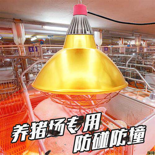 智牧人养殖取暖灯罩保温仔猪保温灯灯罩防水卤P素灯小鸡育雏取暖属于什么档次？