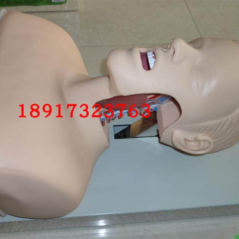 人体气管插管训练模型成人气P管插管训练模型