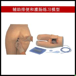 辅助排便和灌肠练习模型医院培训H护士训练模型肛门检查模型