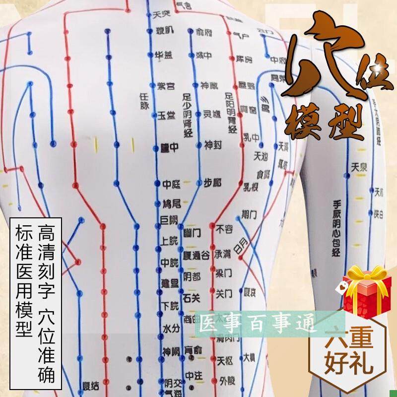 经络大号60cm人体穴位模型人体经络模具人体针灸W模型十二经脉