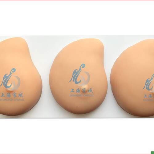 病理乳房模型乳房自检z模型病理硅胶医用教学模型