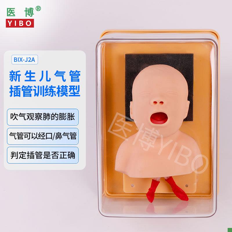 医博BIX-J3A儿童气管插管训练模型婴儿儿童成人E气管插管模型教学