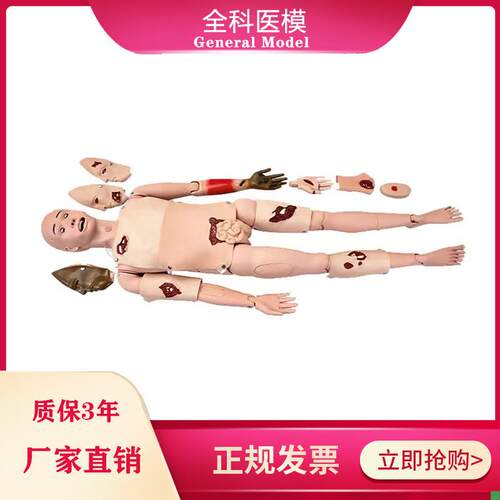 全功能创c伤护理人模型止血包扎急救模特医学用人体模型GM/H111
