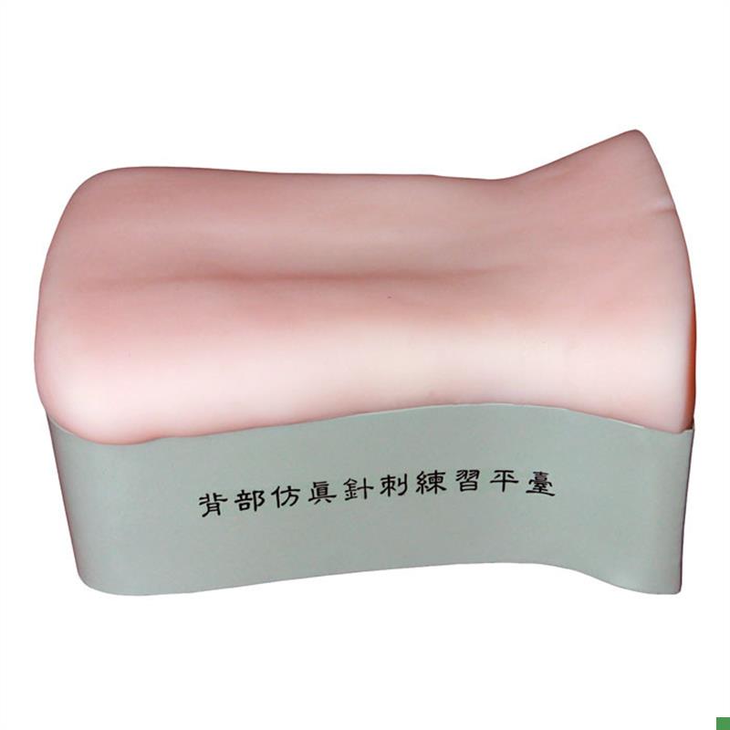 背部仿真针刺练习平台后背部针灸针刺训练模型背T部扎针练习模型