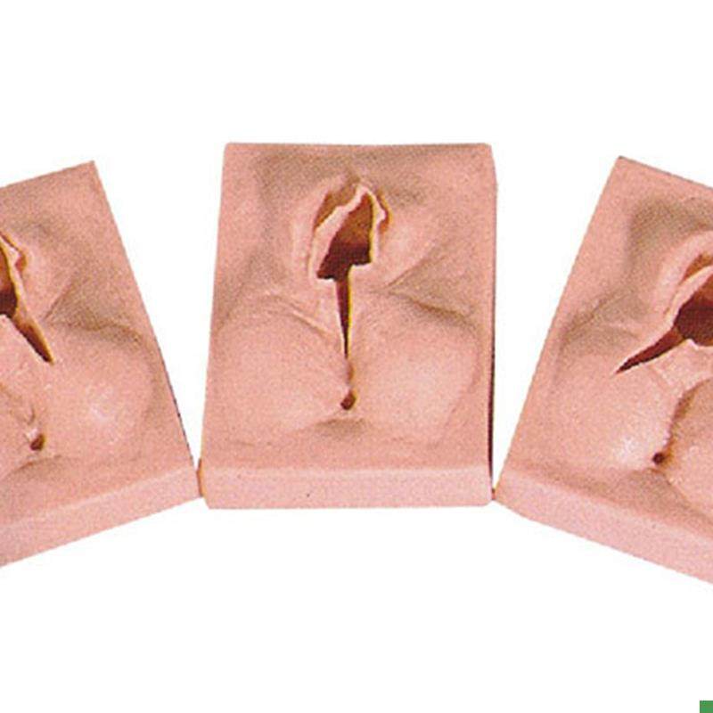 医学用外f阴切开缝合练习模型训练模块