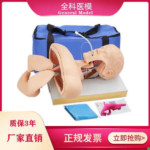 GM/J50高i级人体气管插管训练模型成人口鼻气道管理急救模具