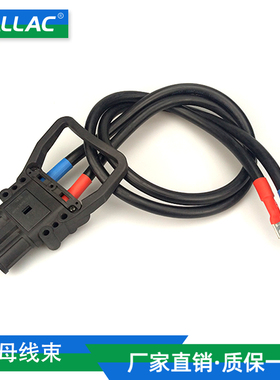 【线束定制】REMA 80A 160A 320A杭叉充电插头公头母头带线连接器